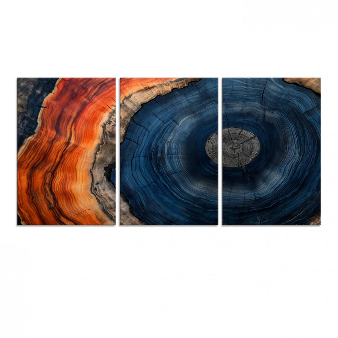 Abstract Tree Ring Wall Art Print on canvas featuring vibrant blue, orange, and brown rings with a natural rustic wood texture. Free shipping available!.