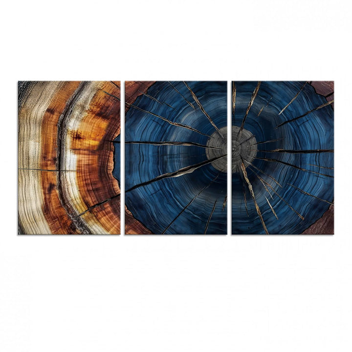 The Abstract Tree Rings Canvas Print features blue, brown, and orange rings that highlight wood grain and natures beauty.