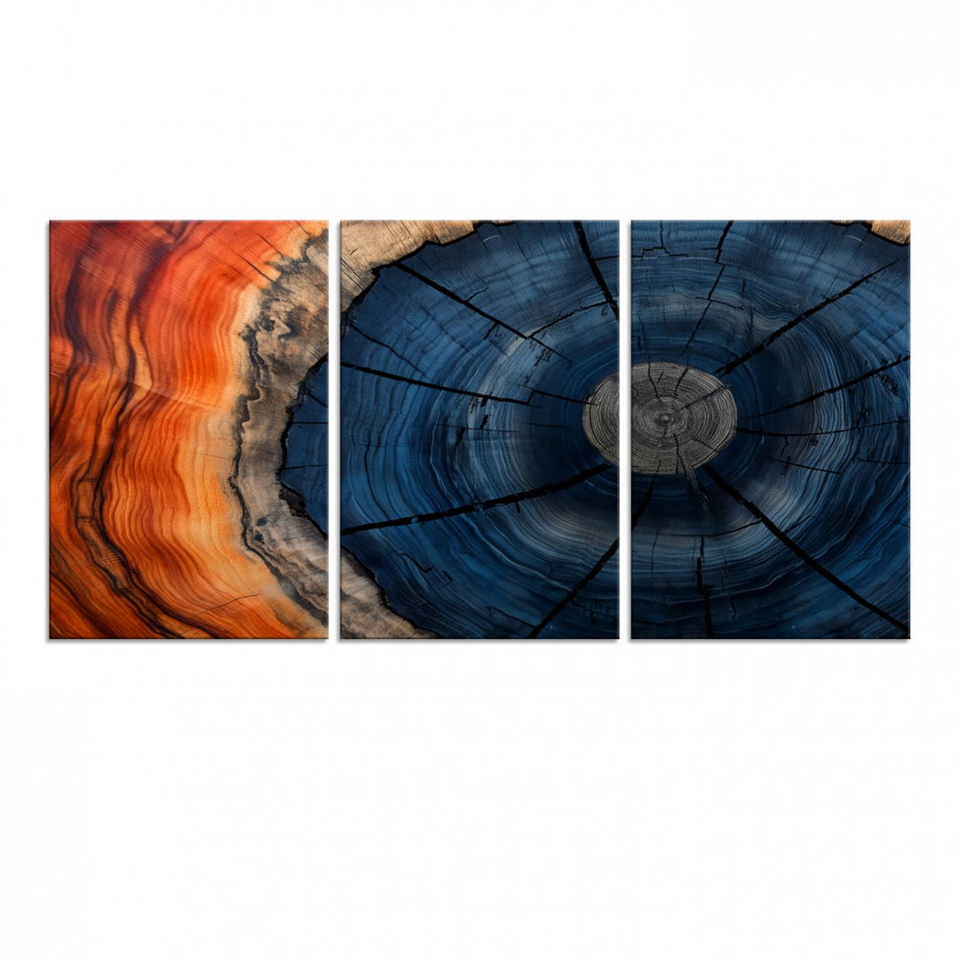 Abstract Tree Rings Canvas Print with vibrant colors—ideal farmhouse wall art for a woodland-themed home.