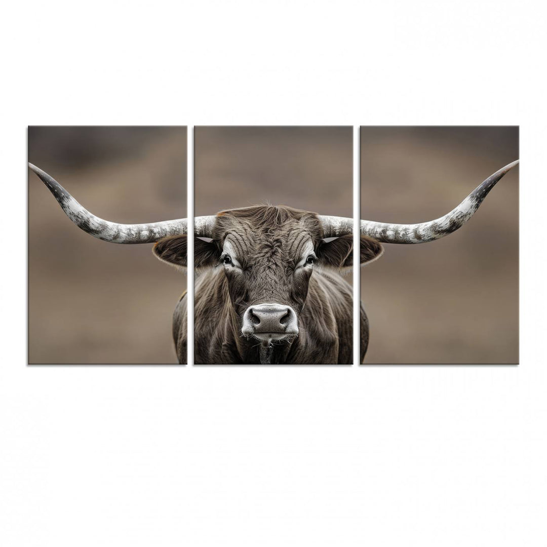 A close-up of a longhorn bull facing forward is featured in the Framed Texas Test-1, set against a blurred brown background.