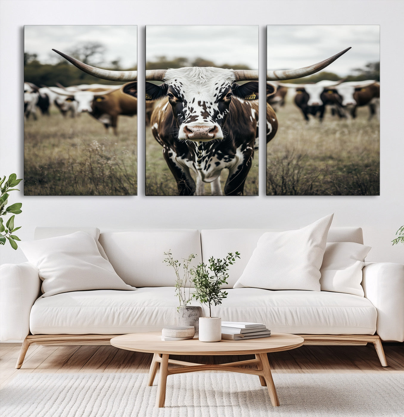 Canvas of a speckled Texas longhorn standing boldly in a field with a herd behind, perfect for rustic western or farmhouse wall decor.