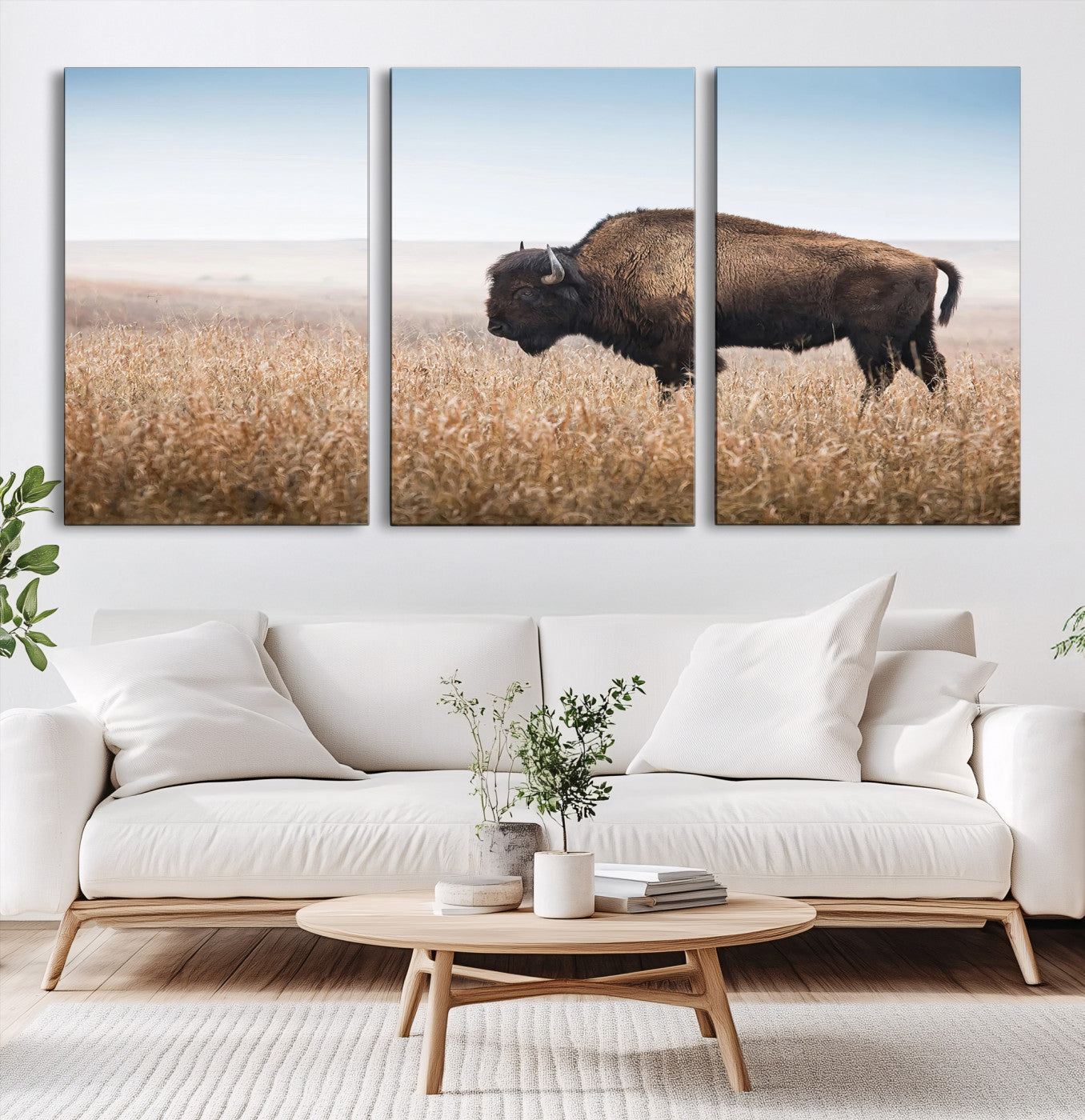 A solitary American bison stands in a dry grassland under soft skies, ideal for rustic or western-style home decor in warm neutral tones.