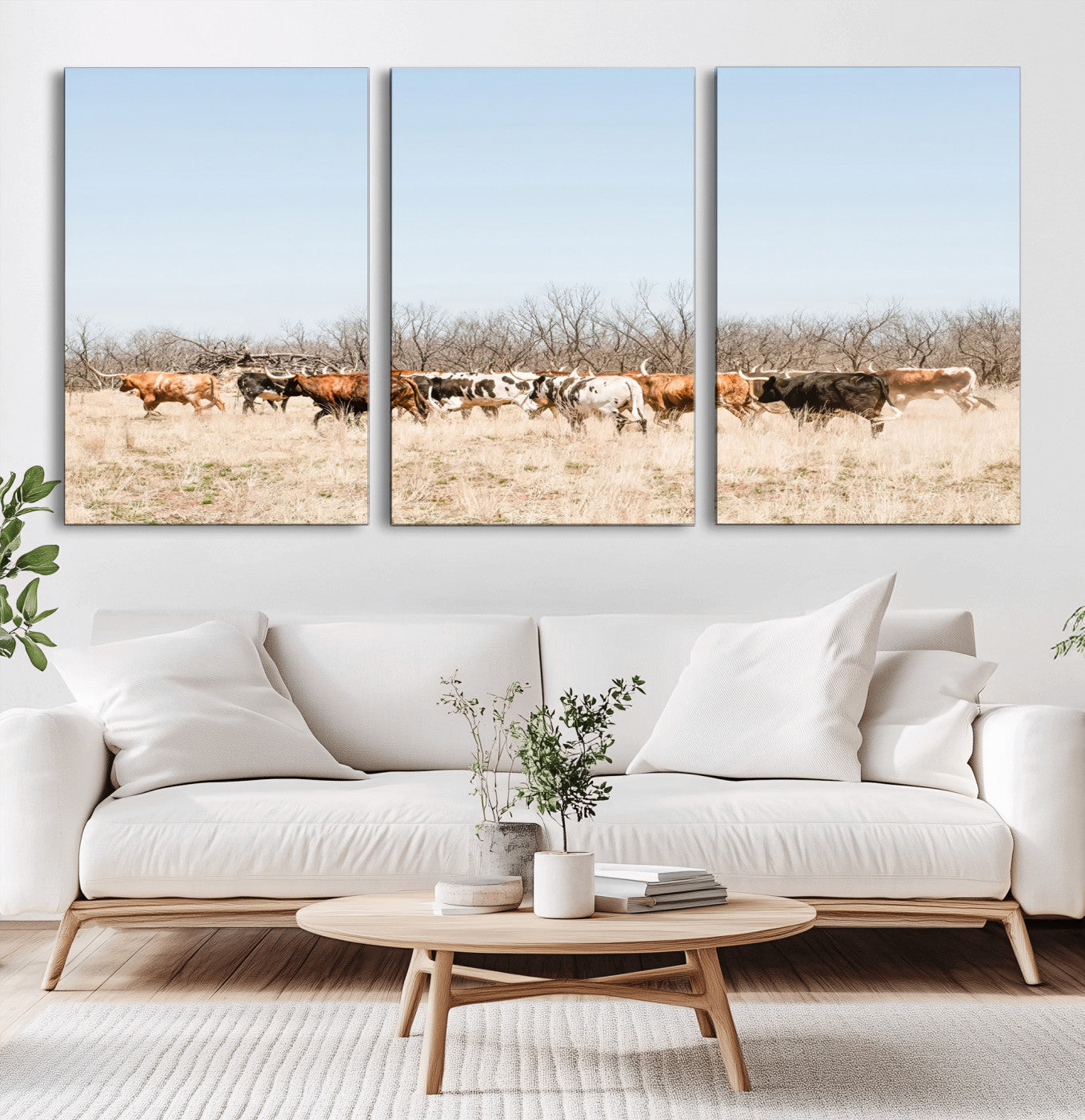 16563092-MGV-CV-36X24-Texas Longhorns Wall Art Canvas Print – Framed Western Cattle Rustic Herd Farmhouse Country Animal Artwork for Home Office