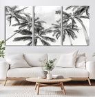 Edit-Images-Black and White Palm Tree Wall Art – Monochrome Tropical Canvas Print for Coastal or Minimalist Living Room Decor