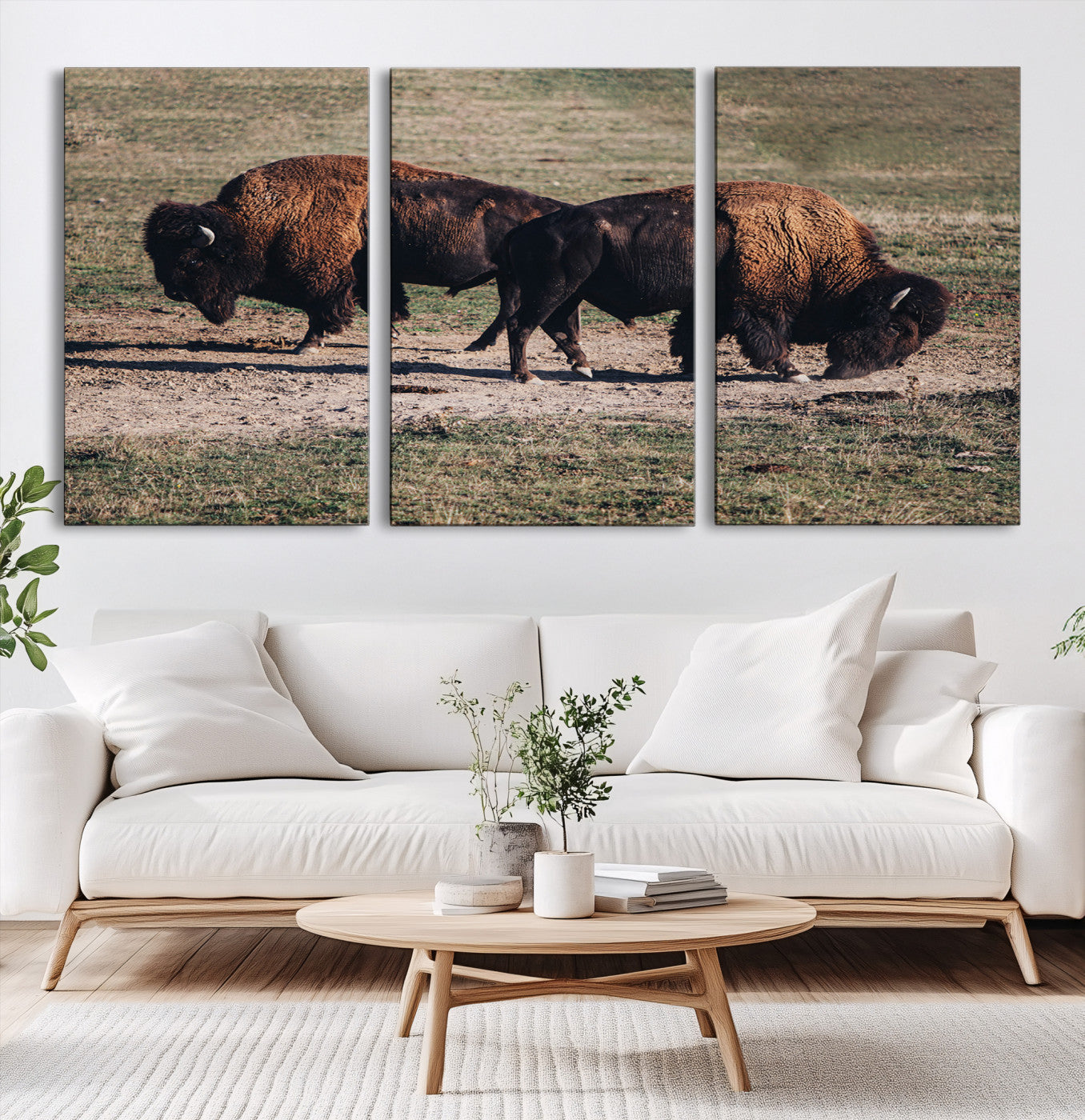 58141885-MGV-CV-60X30-3P-Bison Photography Wall Art Canvas Print, Framed Western Wildlife Art Picture Print, Modern Ranch Perfect Western Rustic Decor Artwork