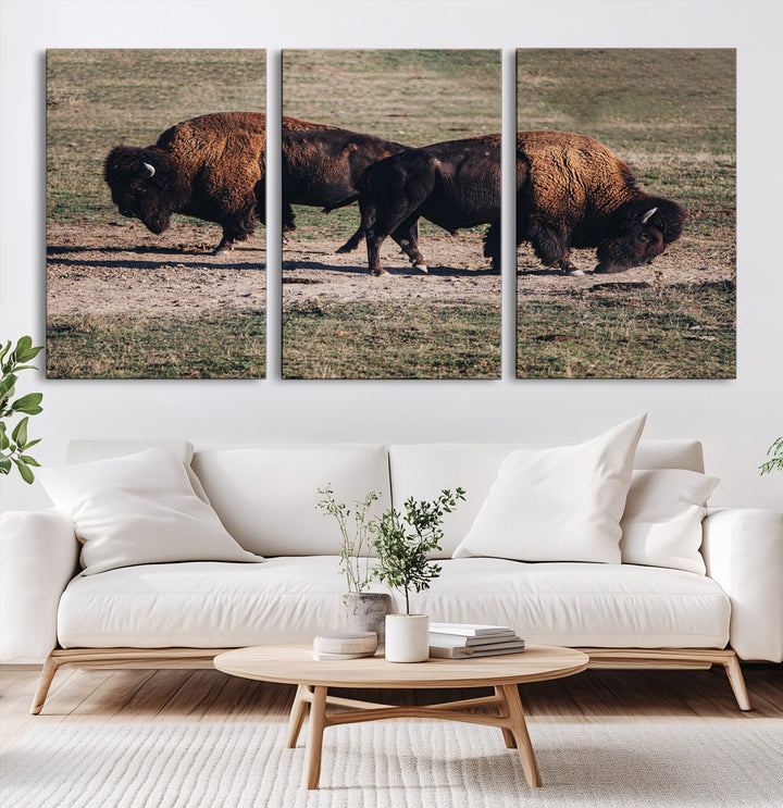 Bison Photography Wall Art Canvas Print, Framed Western Wildlife Art Picture Print, Modern Ranch Perfect Western Rustic Decor Artwork