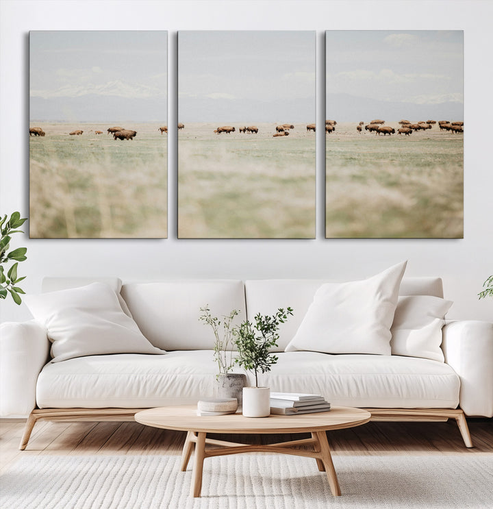 Bison Herd Wall Art Canvas Print, Framed Western Art Picture Print, Bison Perfect Ranch Decor Artwork