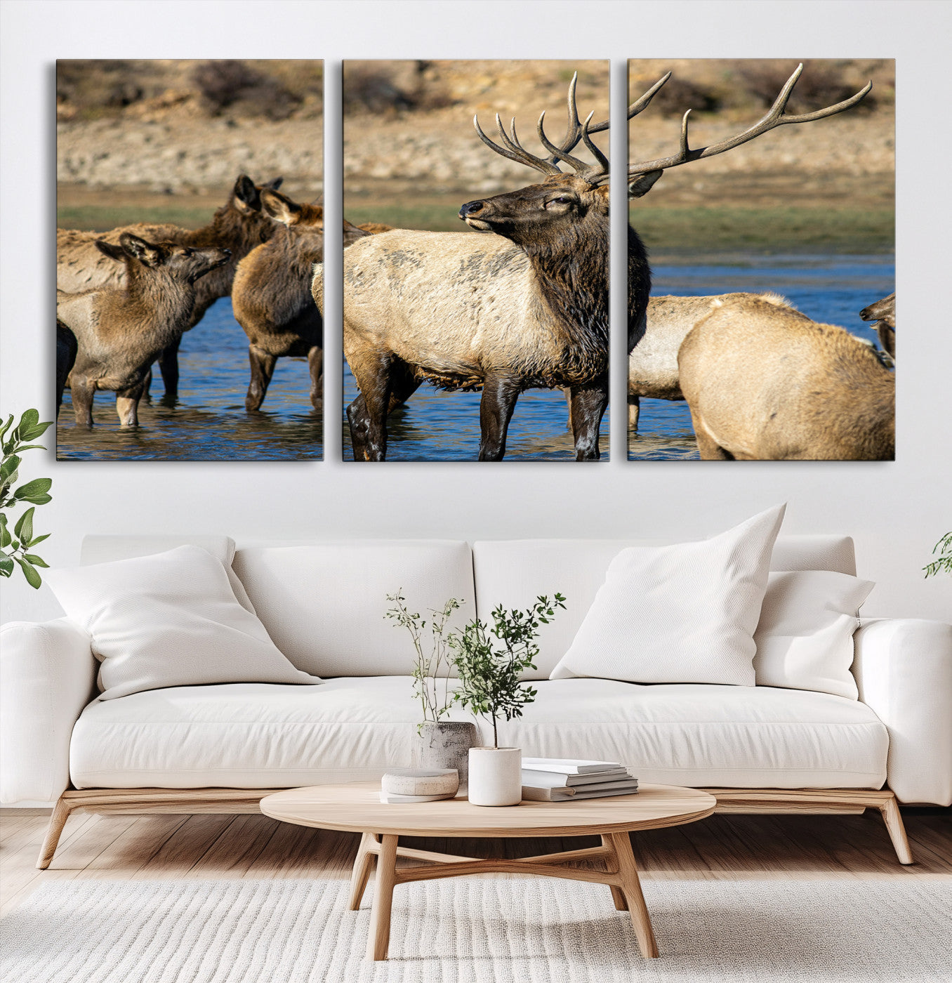 21531692-MGV-CV-60X30-3P-Wild Elk Wall Art Canvas Print – Framed Neutral Wildlife Rustic Forest Scene Photography Artwork for Home Office