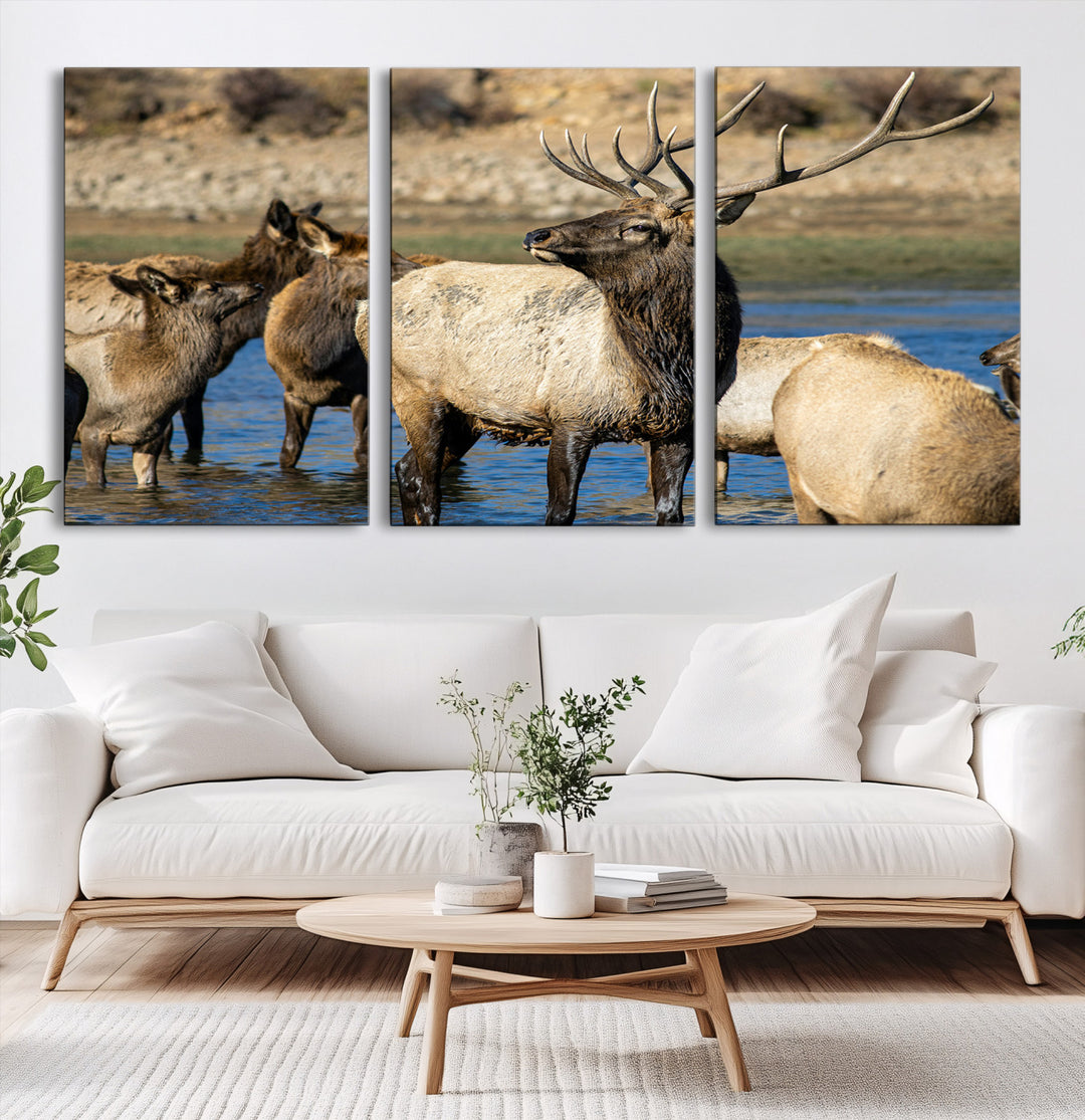 Wild Elk Photography Wall Art Canvas Print, Framed Neutral Wildlife Scene Art Picture Print, Rustic Animal Print Perfect Rustic Farmhouse