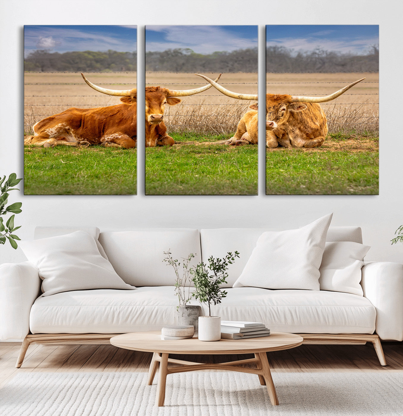 MGV-CV-60X30-3P - Texas Longhorn Pair Wall Art Canvas Print – Peaceful Rustic Ranch Scene with Two Cattle in Field,
