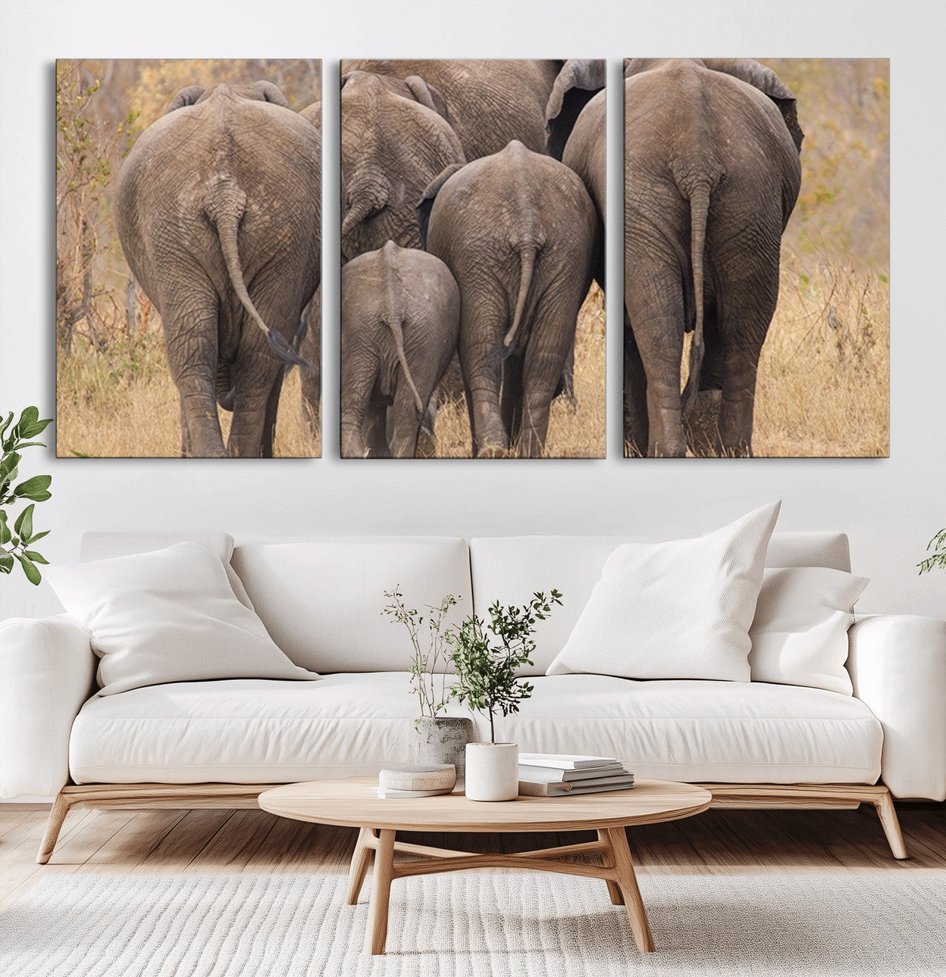 MGV-CV-60X30-3P - Wild Elephant Wall Art Canvas Print