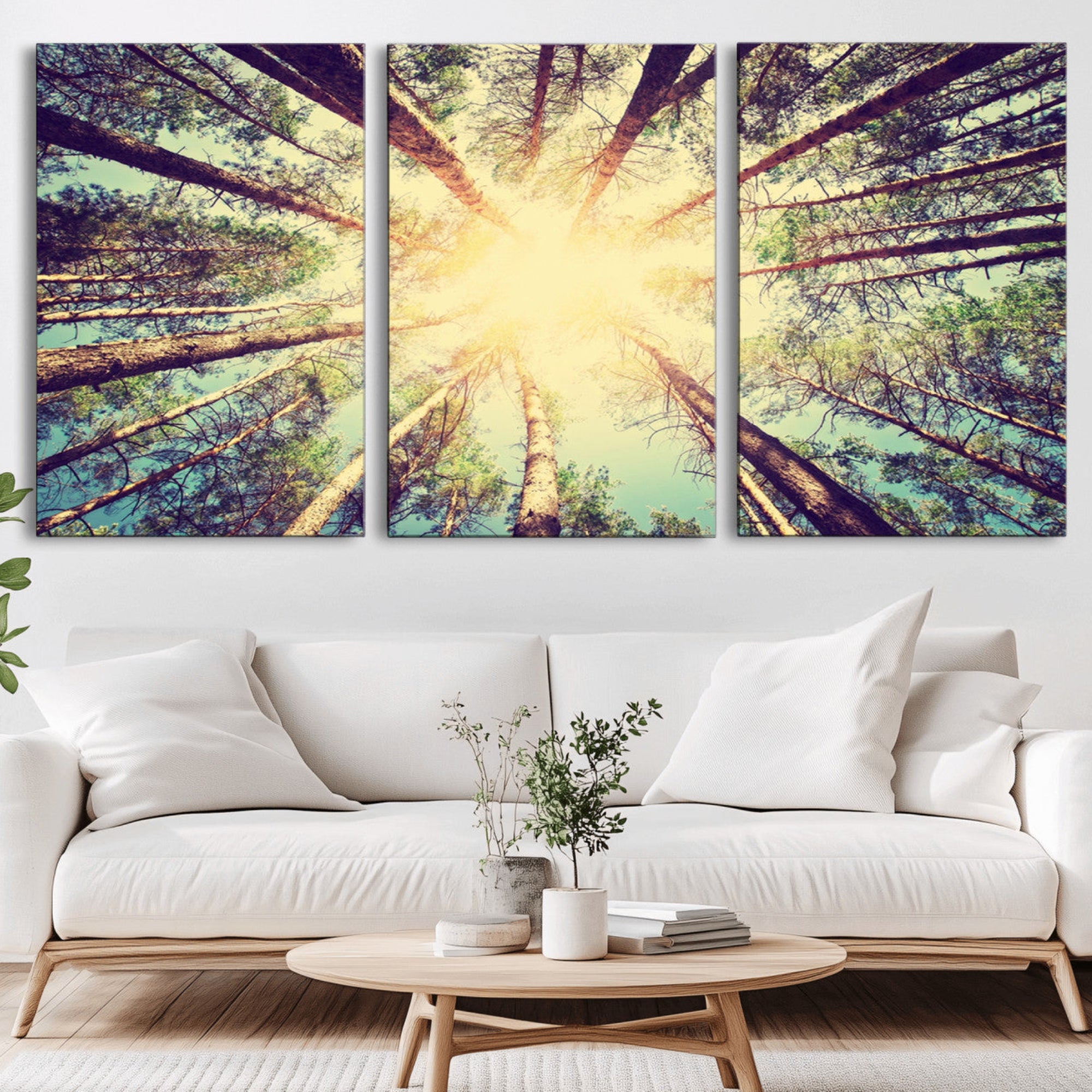89611-MGV-CV-36X24-Tree and Sunshine Canvas Print