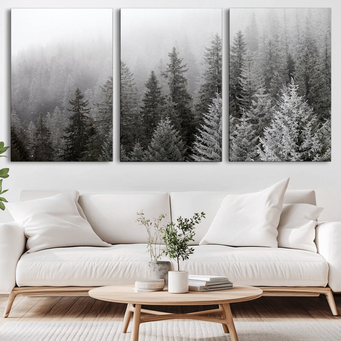 Big Foggy Forest and Misty Trees Forest Wall Art Canvas Print