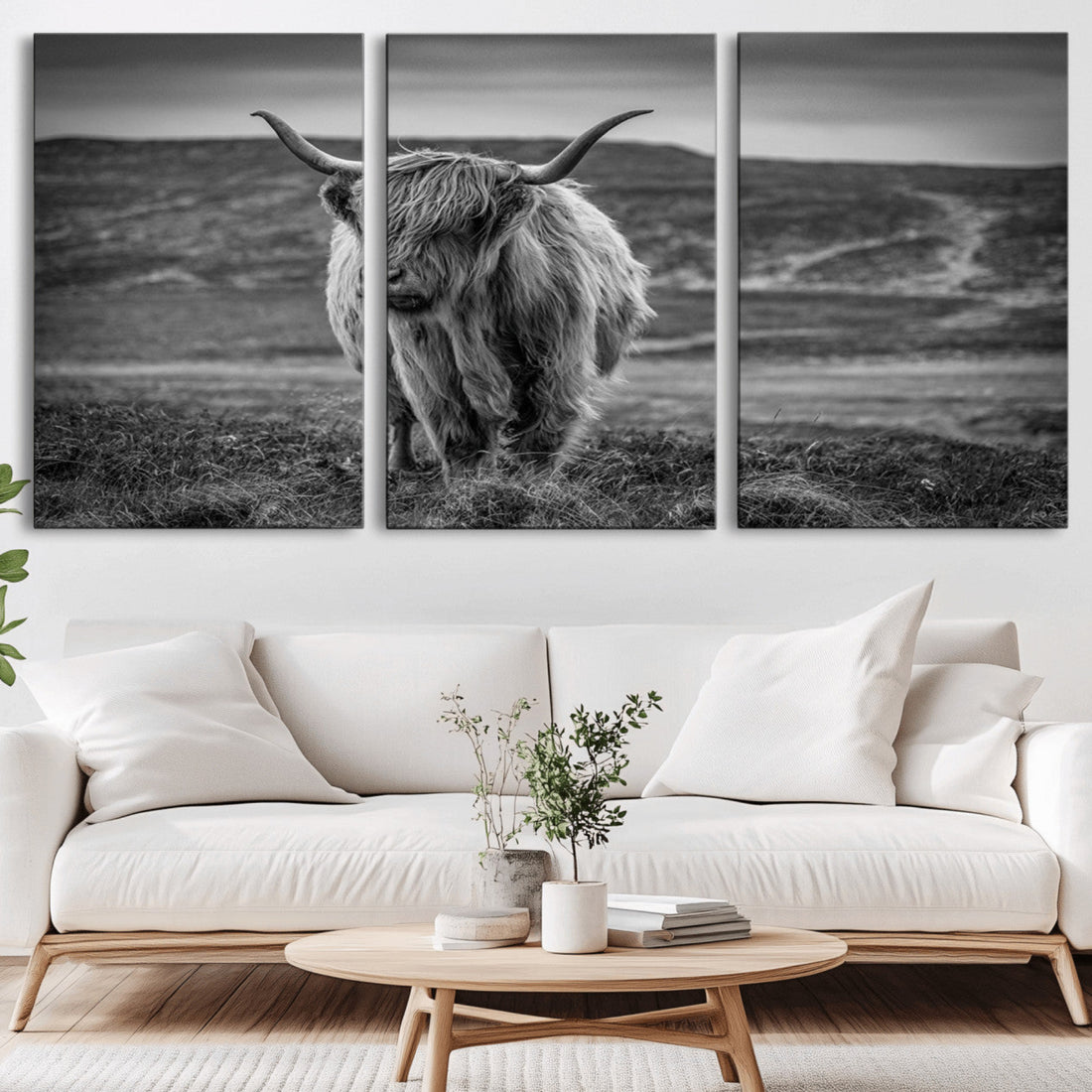 Fluffy Cattle Wall Art Print, Highland Cow Canvas, Framed Black and White Wall Art
