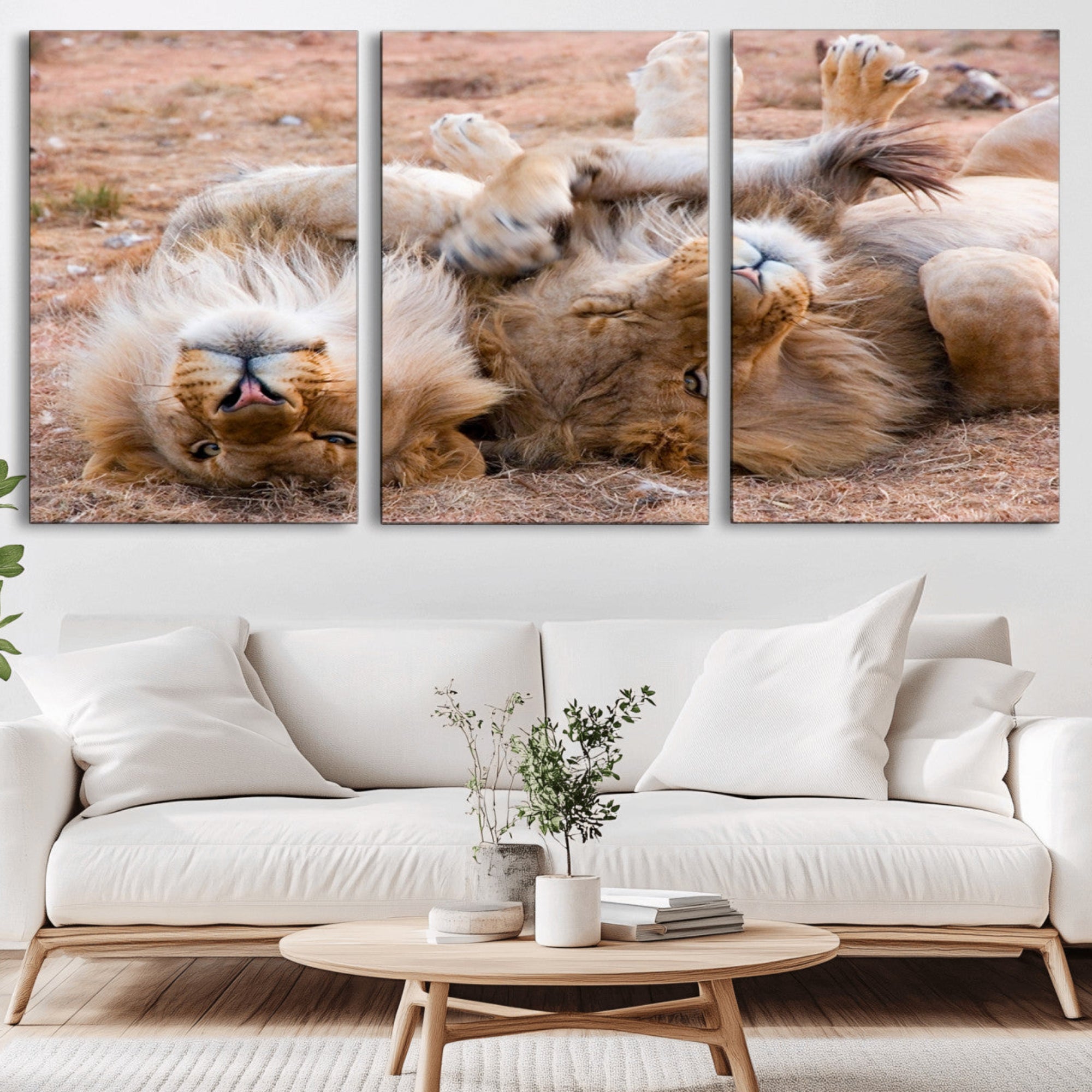 62598-MGV-CV-36X24-Lion Pair Wall Art Canvas Print – Framed Wildlife Scene with Playful Lions Artwork for Home, Office, Living Room