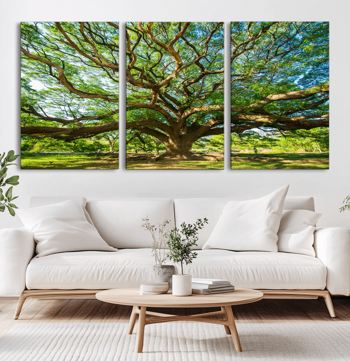 MGV-CV-60X30-3P - Angel Oak Tree Wall Art | Oak Canvas Print | Multi Panel Landscape Wall Art | Ready to Hang Wall Art