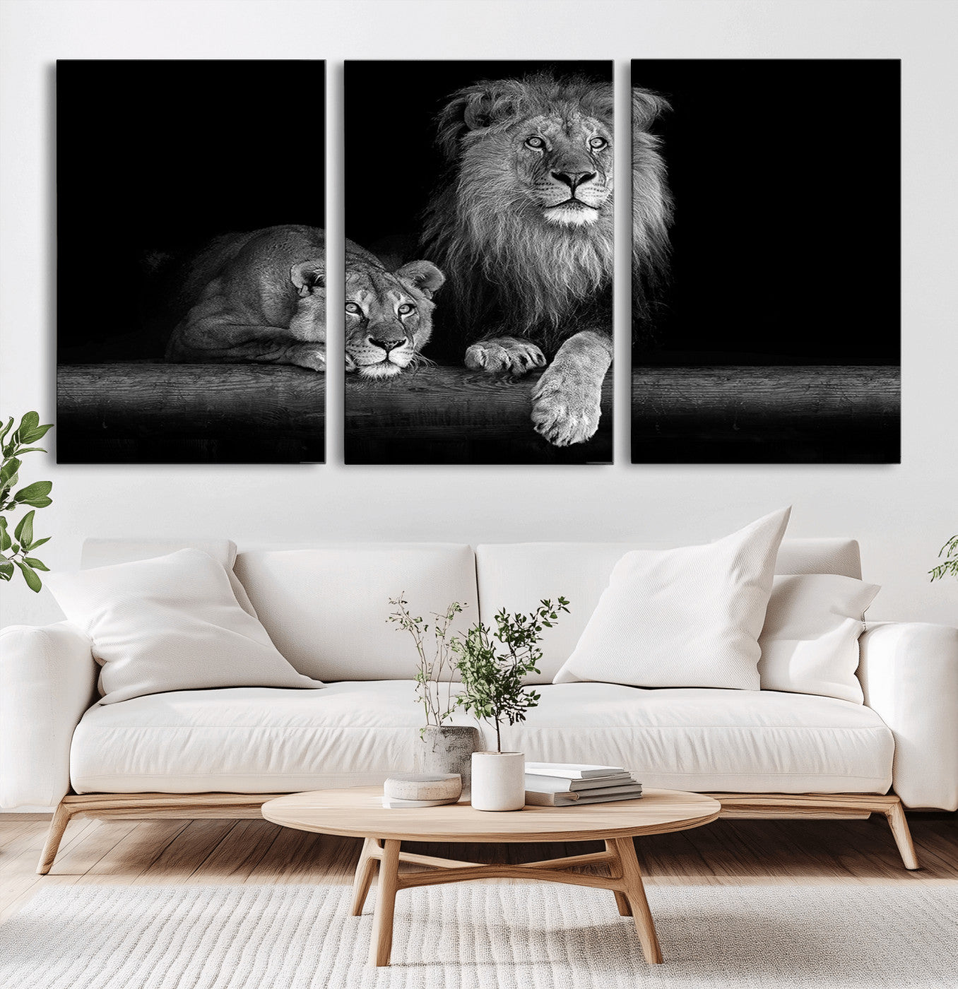 MGV-CV-60X30-3P - Large Black and White Lion Couple Wall Art Canvas Print