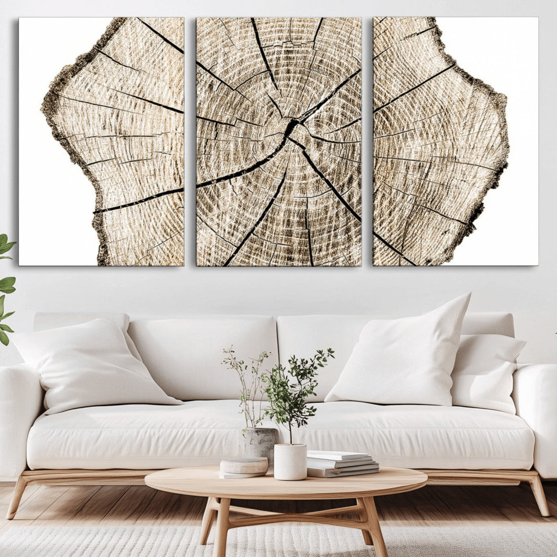 Abstract Wood Tree Ring Wall Art, Ready to Hang Minimalist Decor, Set of 3