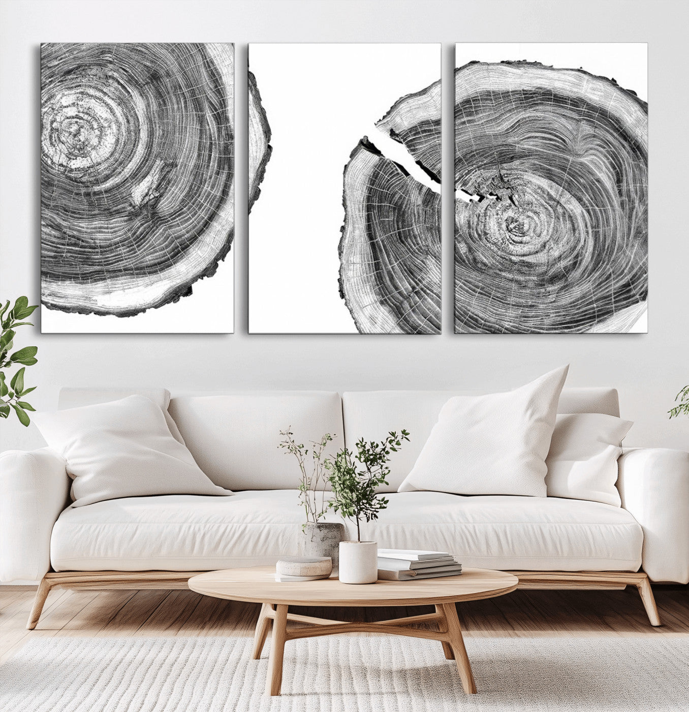 MGV-CV-60X30-3P - Modern Black and White Tree Rings Canvas Wall Art – Nature Inspired Wood Slice Print – Minimalist