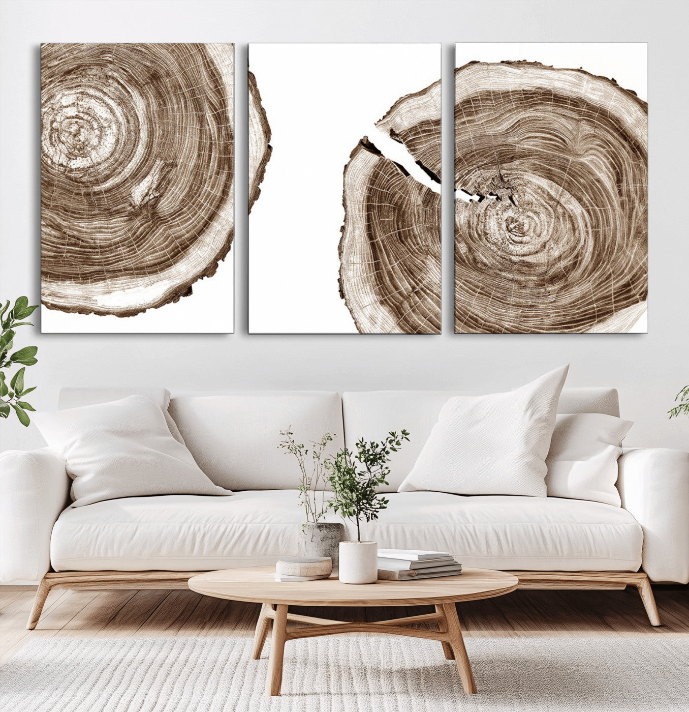 MGV-CV-60X30-3P - Wood Tree Ring Wall Art Canvas Prints, Tree Rings – Minimalist Black and White Wood Art | Triptych