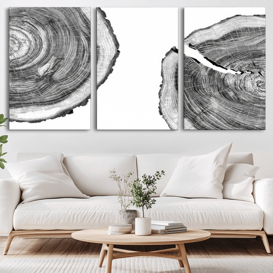Abstract Large Tree Rings, Minimalist Black and White Wood Art