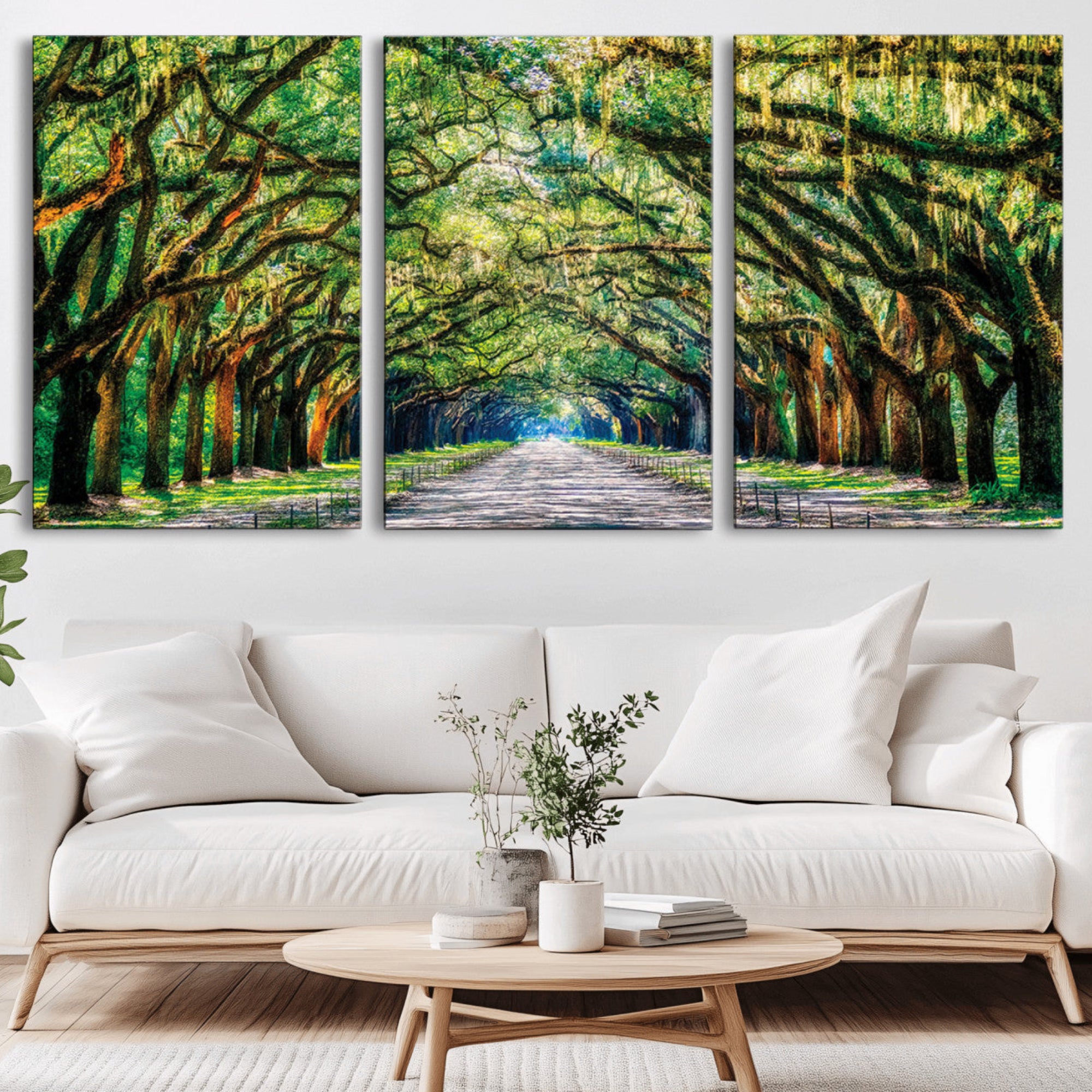 77105-MGV-CV-36X24-Serene Tree Tunnel Wall Art Canvas Print – Pathway Under Canopy of Lush Green Trees, Nature-Inspired