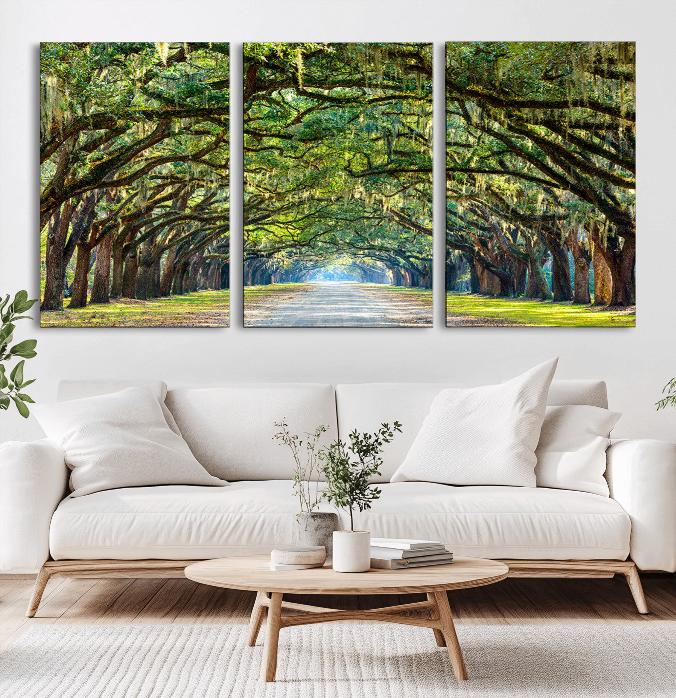 MGV-CV-60X30-3P - Wormsloe State Plantation Driveway Wall Art Canvas Print