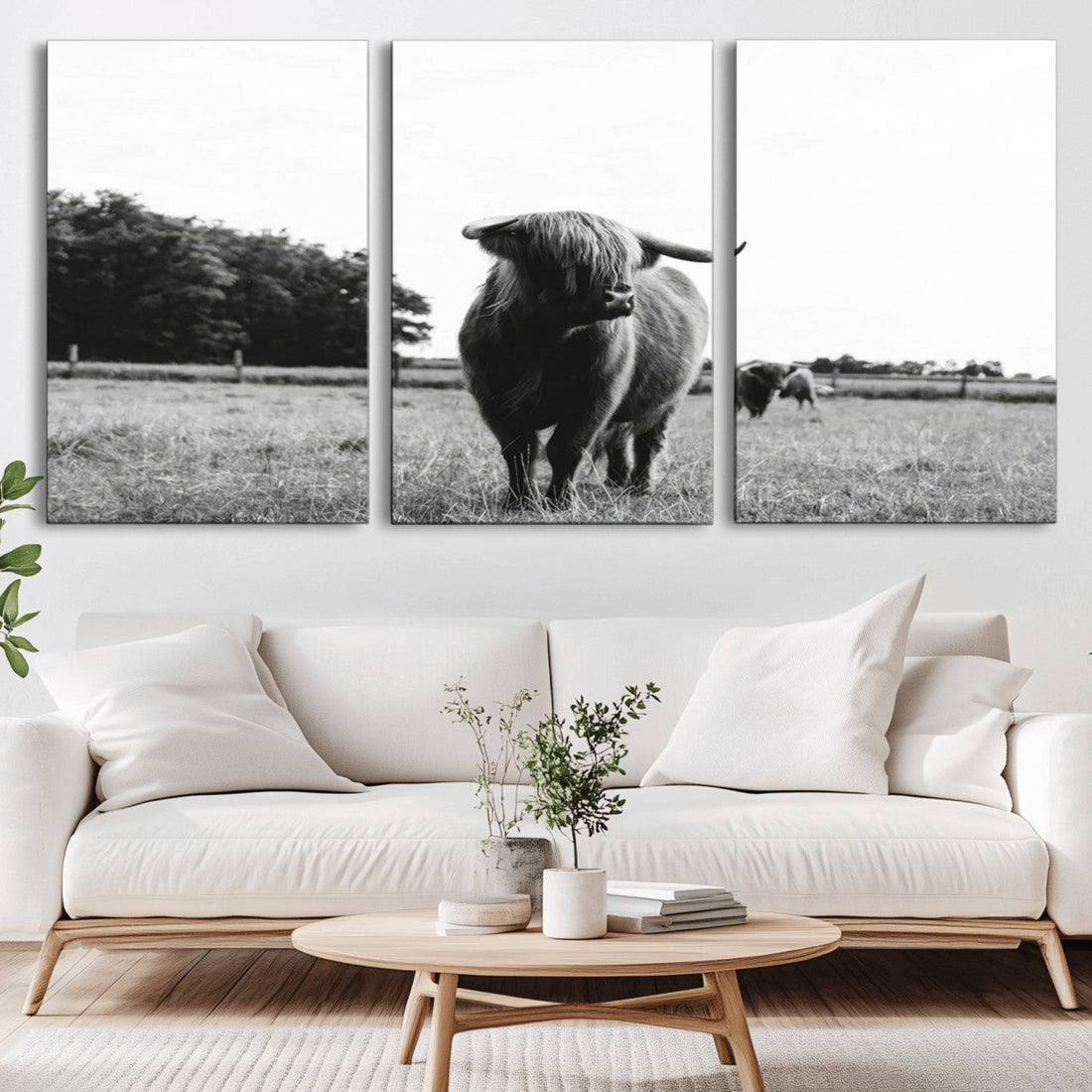 Black and White Highland Cow Wall Art Canvas Print, Rustic Decor