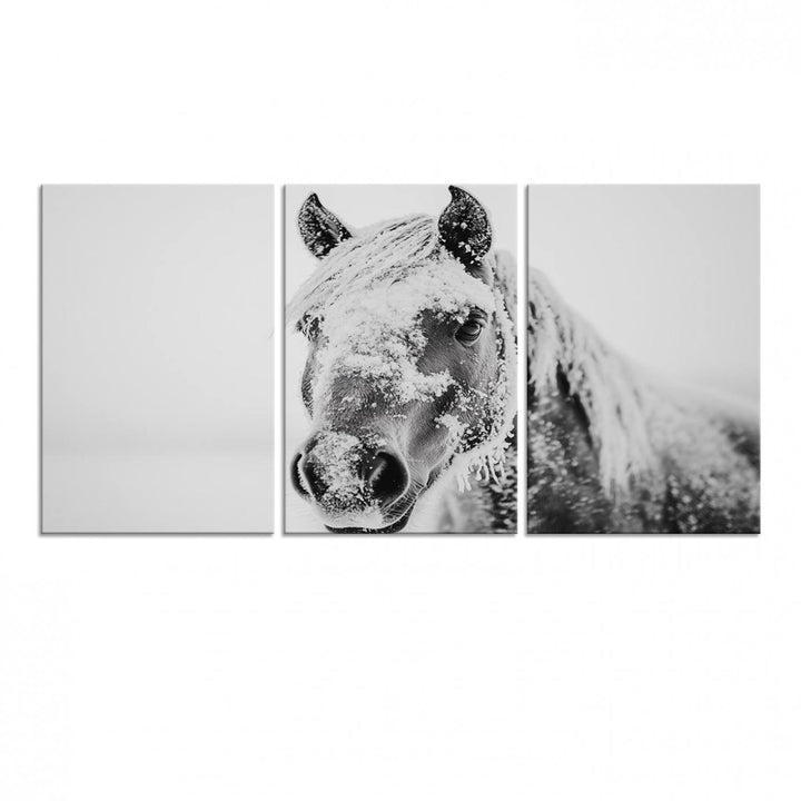 White Horse Wall Art: A black and white photo of a snow-covered horse, framed and ready to hang for farmhouse decor.