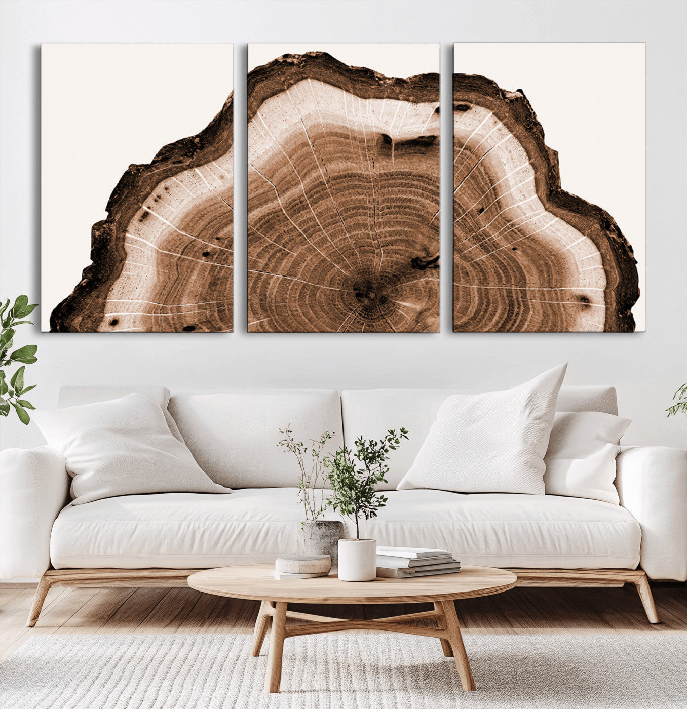 45195-MGV-CV-36X24-Rustic Wood Rings Wall Art | Nature-Inspired Tree Ring Canvas Print | Ready to Hang and Framed for