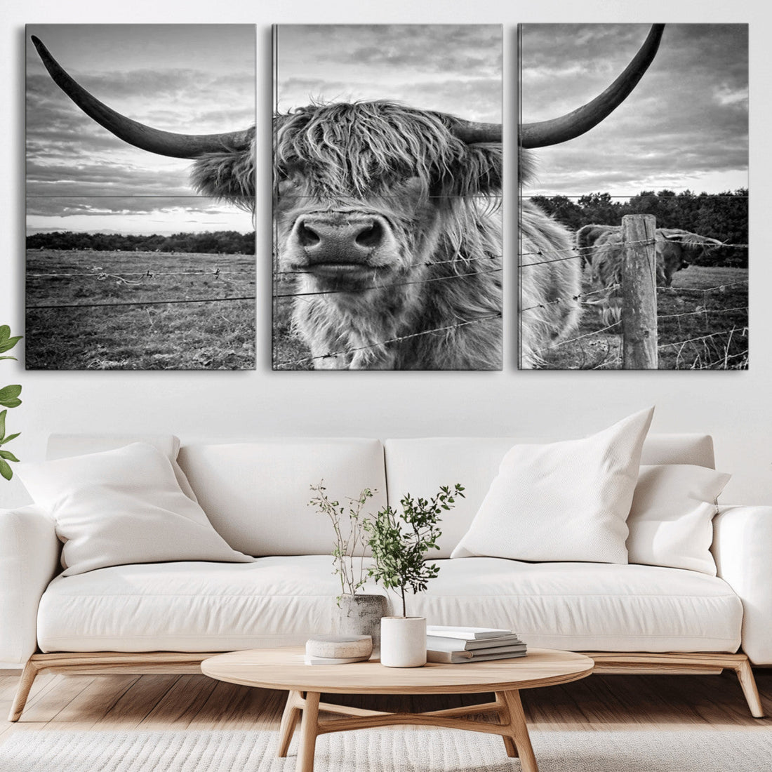 Scottish Highland Cow Canvas Wall Art Farmhouse Decor