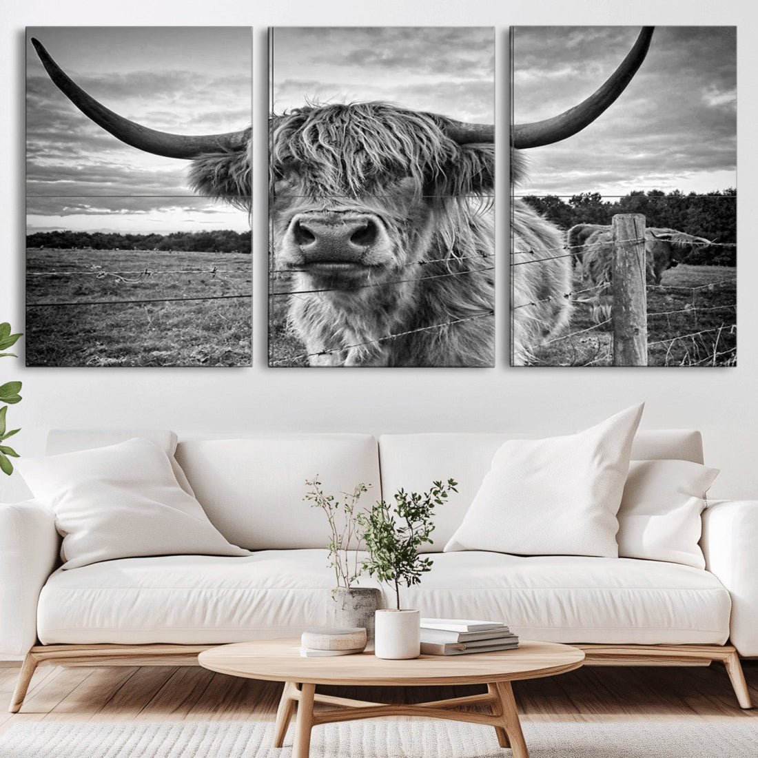 Scottish Highland Cow Wall Art Canvas Print, Ready to Hang