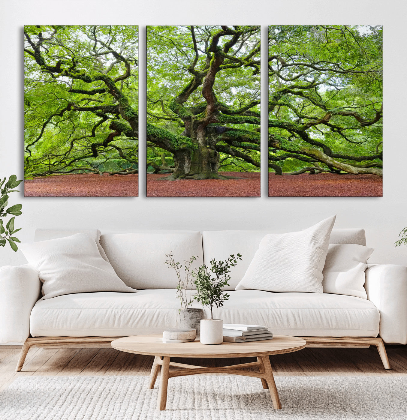 MGV-CV-60X30-3P - Framed Angel Oak Tree Wall Art - 3-Panel Canvas Prints, Large Green Nature Artwork, Ready to Hang