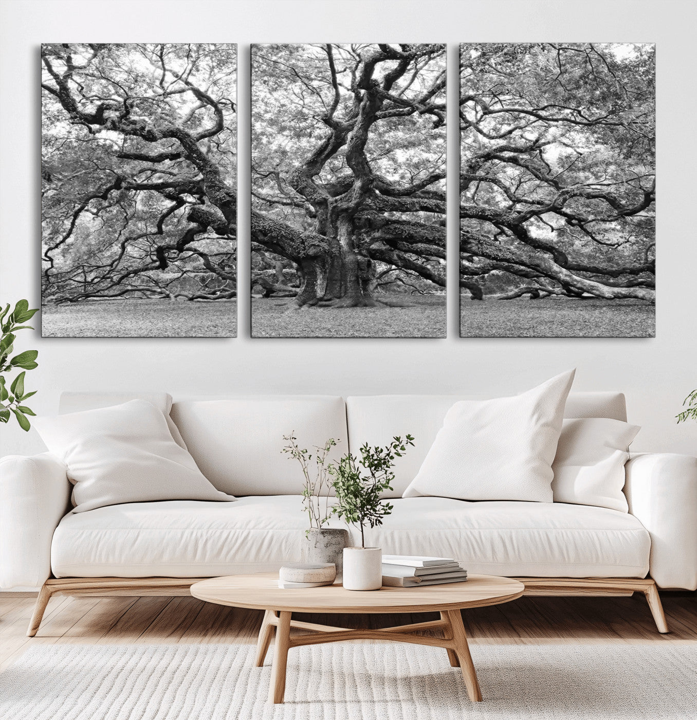 MGV-CV-60X30-3P - Black White Angel Oak Tree Wall Art - Timeless Nature-Inspired Canvas for Rustic, Modern, or