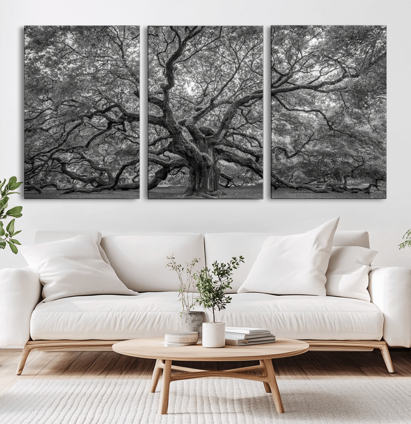MGV-CV-60X30-3P - Majestic Angel Oak Tree Black and White Canvas Print – Multi Panel Wall Art, Giclée Print, Ready to