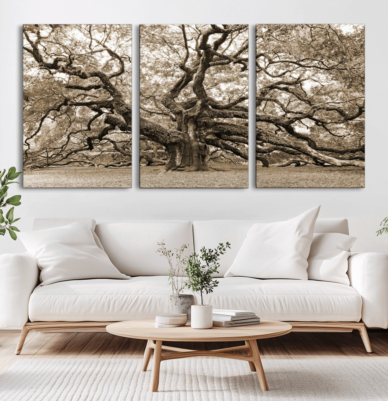 MGV-CV-60X30-3P - Sepia Framed Angel Oak Tree Wall Art - 3-Panel Canvas Prints, Large Green Nature Artwork, Ready to