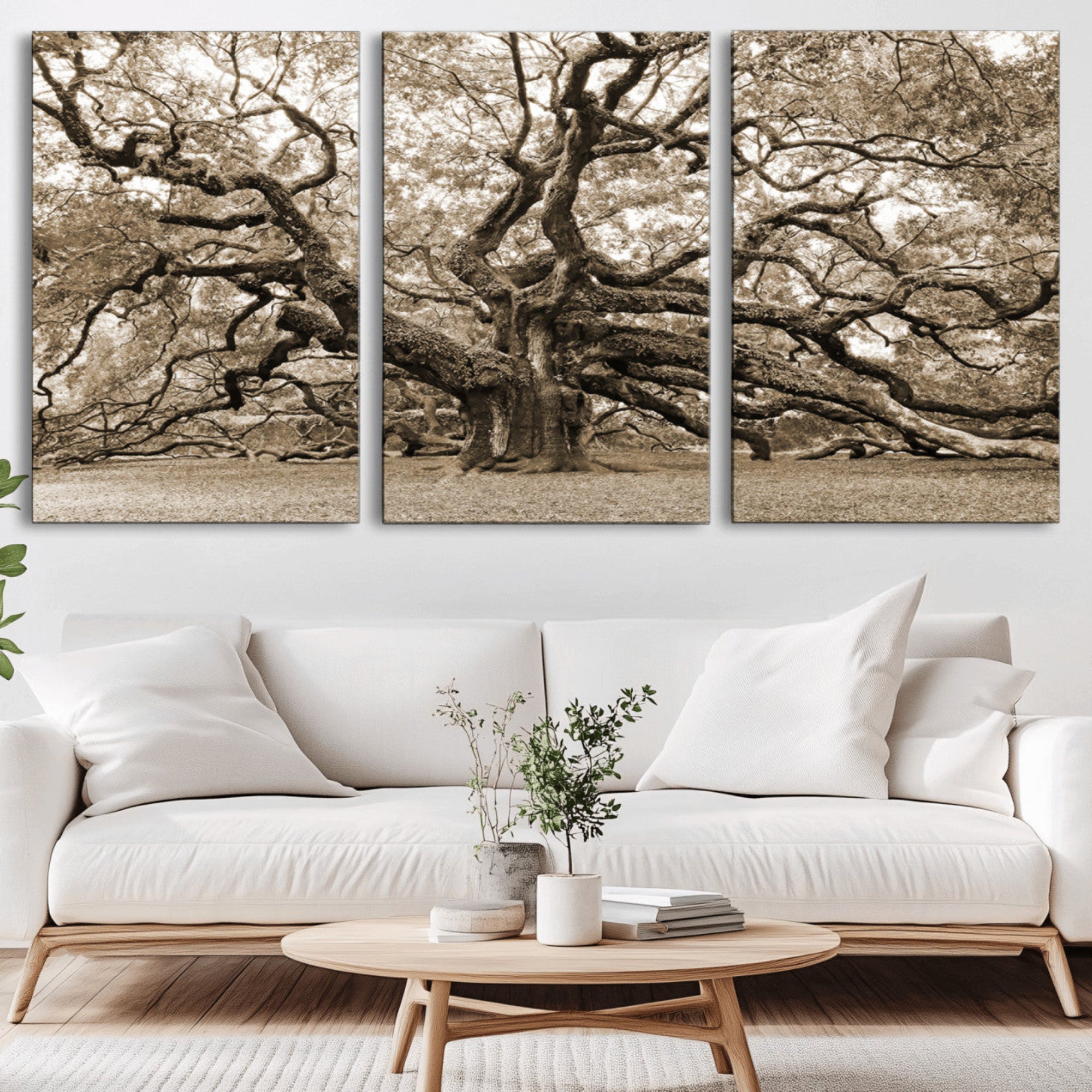 51126-MGV-CV-36X24-Sepia Framed Angel Oak Tree Wall Art - 3-Panel Canvas Prints, Large Green Nature Artwork, Ready to