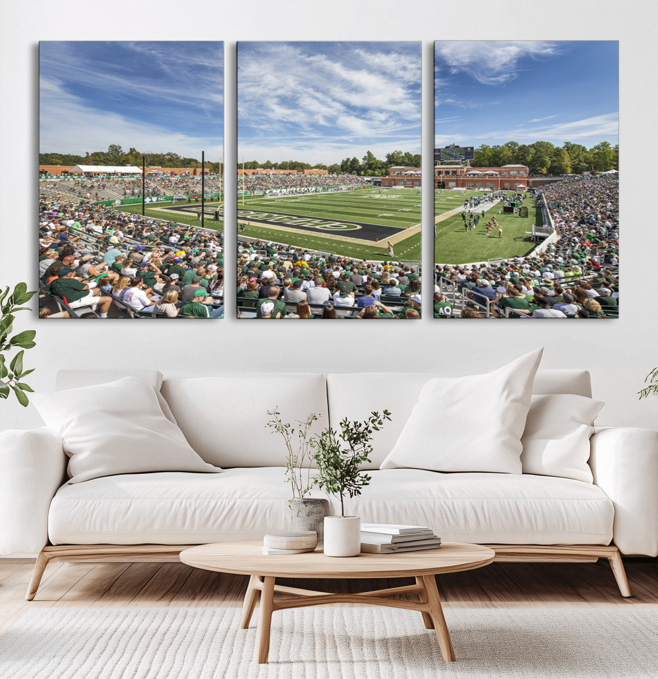 MGV-CV-60X30-3P - University of Charlotte 49ers Football Team Print - Charlotte Jerry Richardson Stadium Canvas Print