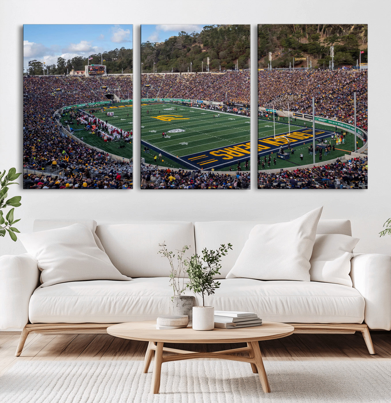 MGV-CV-60X30-3P - University of California Golden Bears Football Team Print - Berkeley California Memorial Stadium Art
