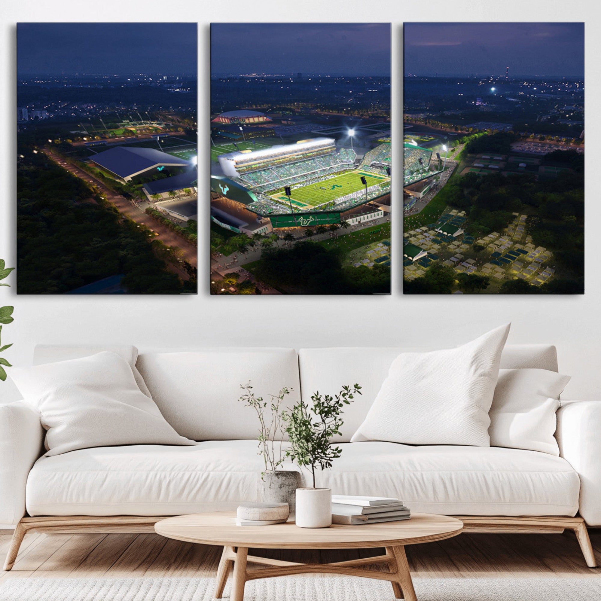 27554-MGV-CV-36X24-The University of South Florida Bulls Football Team Print - Tampa USF Football Stadium Wall Art