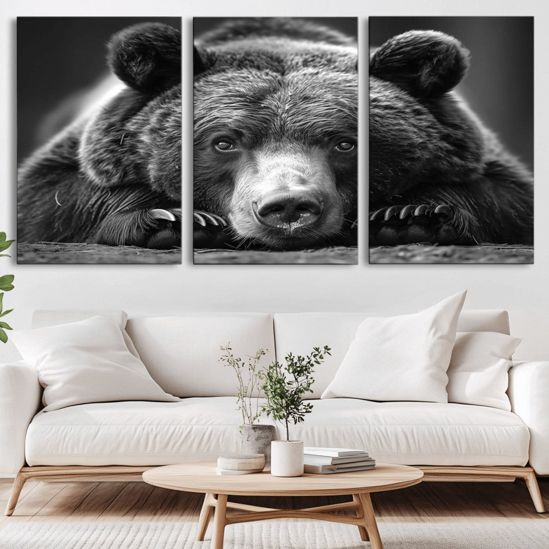 Resting Grizzly 399 Bear Canvas Print, Ready to Hang Wall Art