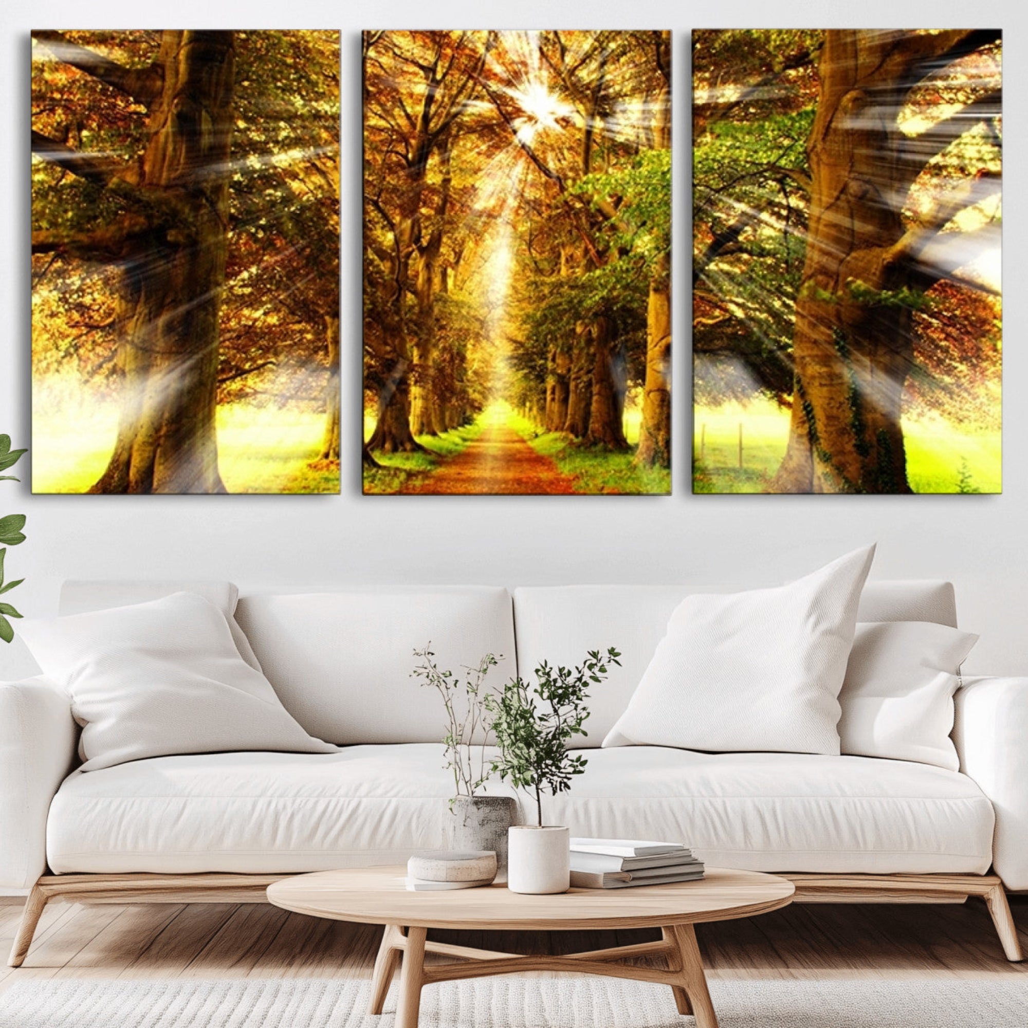 50243-MGV-CV-36X24-Sunshine in Forest and Trees Wall Art Canvas Print