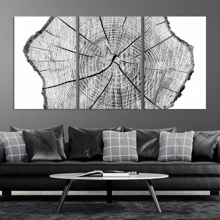 Black and white tree ring art print.