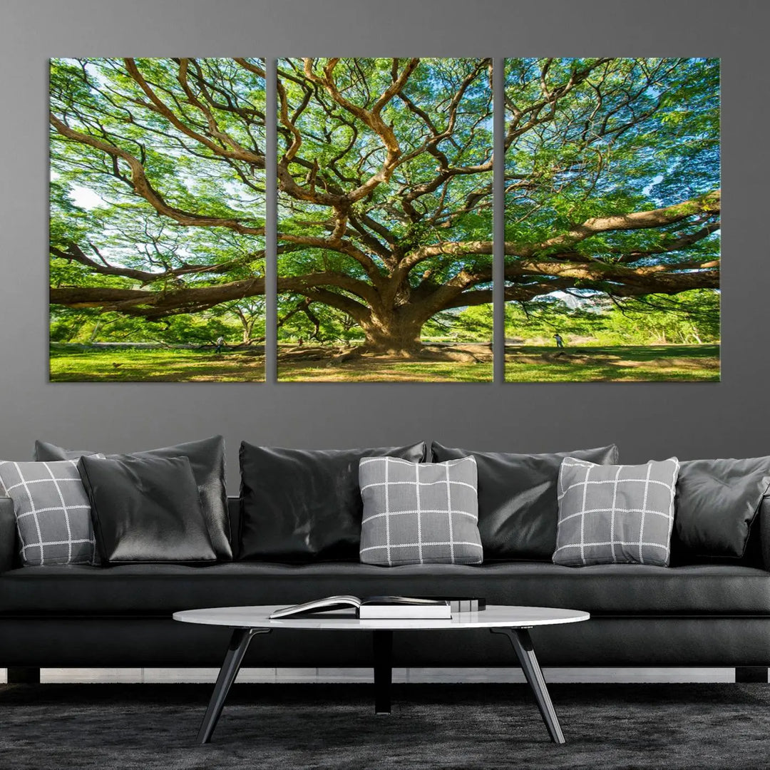 The Angel Oak Tree Wall Art, a multi-panel canvas print showcasing a large tree with sprawling branches and green leaves in a style reminiscent of the majestic Angel Oak Tree, elegantly adorns the wooden wall in the living room.