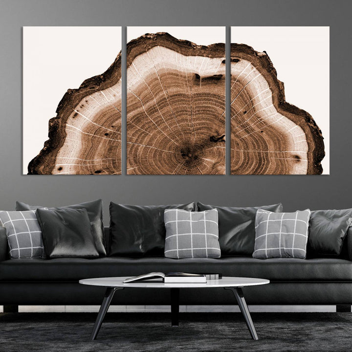 Rustic Wood Rings Wall Art | Nature-Inspired Tree Ring Canvas Print | Ready to Hang and Framed for Farmhouse Wall Decor