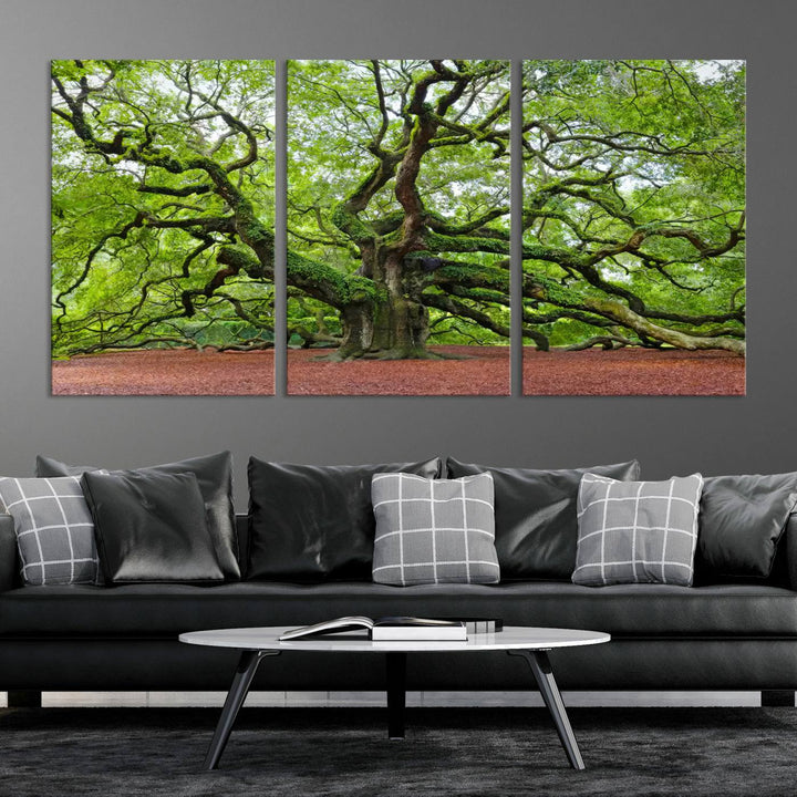 Framed Angel Oak Tree Wall Art - 3-Panel Canvas Prints, Large Green Nature Artwork, Ready to Hang Home Decor for Living Room, Office, Bedroom