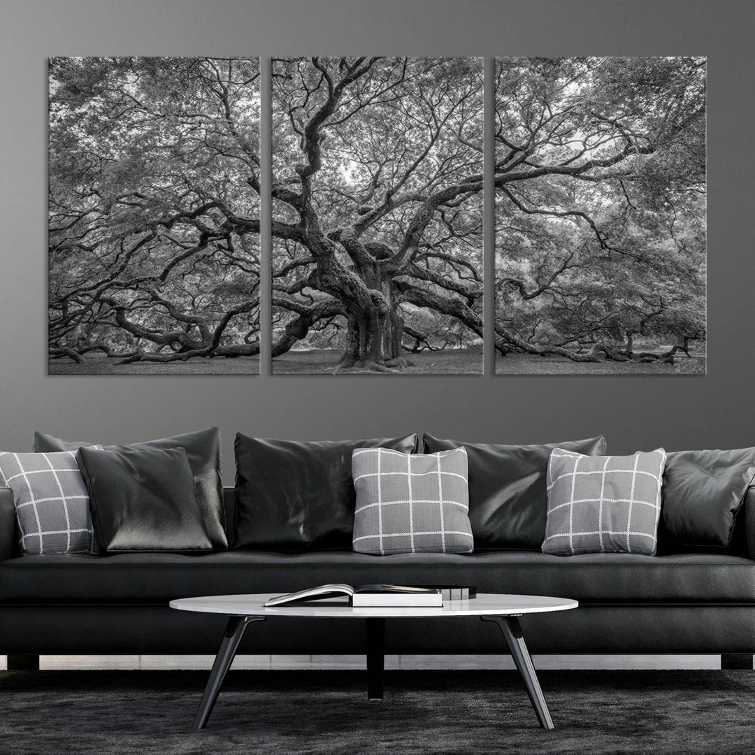 Majestic Angel Oak Tree Black and White Canvas Print – Multi Panel Wall Art, Giclée Print, Ready to Hang Nature Photography for Home Decor