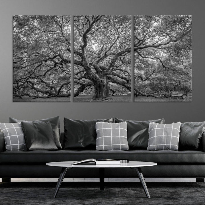 Majestic Angel Oak Tree Black and White Canvas Print – Multi Panel Wall Art, Giclée Print, Ready to Hang Nature Photography for Home Decor