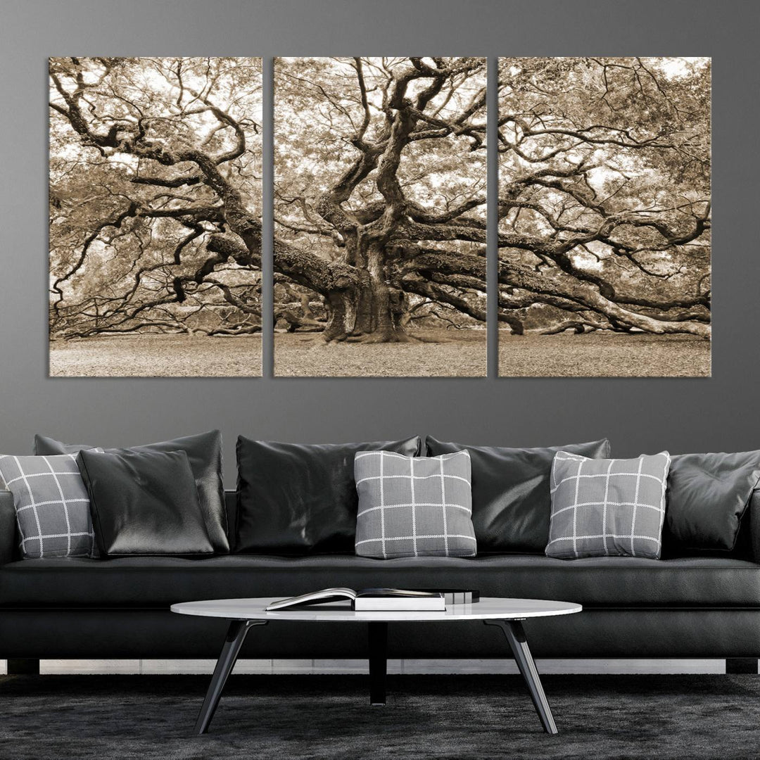 Sepia Framed Angel Oak Tree Wall Art - 3-Panel Canvas Prints, Large Green Nature Artwork, Ready to Hang Home Decor for Living Room, Office, Bedroom