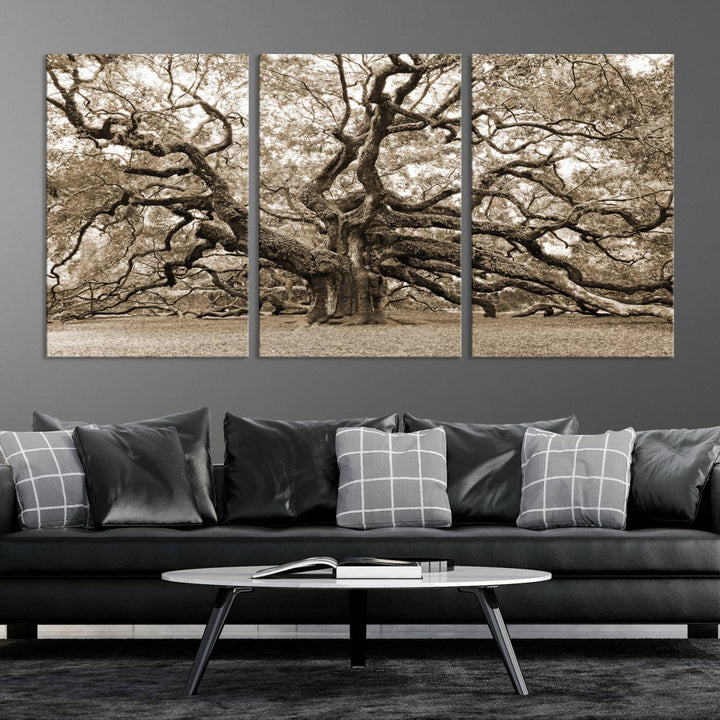 Displayed on the wall is a Sepia-framed Angel Oak Tree 3-panel canvas.